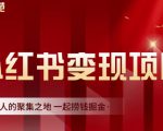 渣圈学苑·小红书虚拟资源变现项目，一起捞钱掘金价值1099元-6688资源库