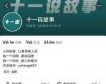 十一说故事·故事性中视频,观众快速共鸣从而快速变现的中视频玩法-6688资源库