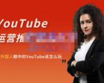 外国人眼中的YouTube该怎么玩？Elisa·YouTube运营推广实战技巧-6688资源库