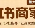 贾真-小红书商家营第6期商家版，21天带货陪跑课，让商家丢掉付流量-6688资源库
