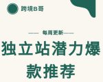 【跨境B哥】独立站潜力爆款选品推荐,测款出单率高达百分之80-6688资源库