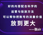 张sir账号流量增长课，告别海王流量，让你的流量更精准-6688资源库