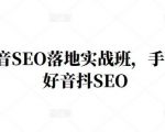 王通·抖音SEO落地实战班,手手带你做好音抖SEO-6688资源库
