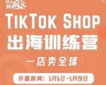 疯人院:TikTok Shop出海训练营（一店卖全球)，出海抢占全球新流量-6688资源库