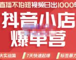 推易电商·2022年抖音小店爆单营,不直播、不拍短视频、日出1000单,暴力玩法-6688资源库