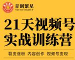张萌21天视频号实战训练营，裂变涨粉、内容创作、视频号变现 价值298元-6688资源库