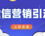微信营销策划引流系列课程，每天引流100精准粉-6688资源库