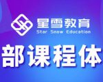 星雪教育淘系高级班，更全的运营提升方案，零基础由浅入深，店铺最新玩法-6688资源库