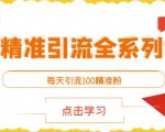 闲鱼精准引流全系列课程，每天引流100精准粉【视频课程】-6688资源库