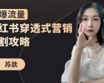 苏歆：小红书穿透式营销收割攻略，引爆流量，助你玩转小红书-6688资源库