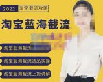 2022淘宝蓝海截流攻略,淘宝蓝海截流选品上货实操讲解-6688资源库
