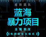 引流哥蓝海暴力躺赚项目：无需发圈无需引流无需售后，每单赚50-500（教程+线报群)-6688资源库