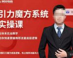 阿呆-引力魔方系统实操课，全体系实战教学，助你快速掌握推荐流量底层逻辑-6688资源库