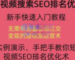 宋老师·短视频搜索SEO优化，教你10分钟创作一个短视频，三天排名上第一-6688资源库