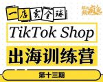 TikTokShop出海训练营（第十三期），打开全球流量新思维，出海抢占全球新流量，一店卖全球-6688资源库