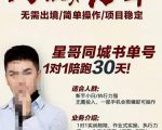 星哥同城教育书单号课程，无需出境简单操作项目稳定-6688资源库