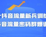 Peter抖音流量新兵训练营-破解抖音流量密码群爆训练营（新兵）-6688资源库