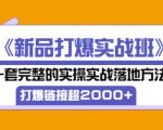 凌童《新品打爆实战班》,一套完整的实操实战落地方法,打爆链接超2000+(28节课)-6688资源库
