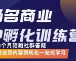 杨名商业IP孵化训练营，从商业到内容到转化一站式学 价值5980元-6688资源库