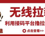 最新接码无限拉新项目，利用接码平台赚拉新平台差价，轻松日赚500+-6688资源库