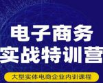 民赛电气内部出品:电子商务实战特训营,全方位带你入门电商,308种方式玩转电商-6688资源库