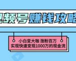 玩转微信视频号赚钱：小白变大咖涨粉百万实现快速变现1000万的现金流-6688资源库