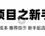虚拟项目快速起店模式，0成本打造月入几万虚拟店铺！-6688资源库