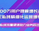 8000万用户规模增长方法论私域精细化运营增长，私域流量硬课助力业务跃迁-6688资源库