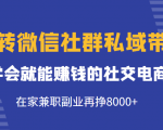 玩转微信社群私域带货,学会就能赚钱的社交电商,在家兼职副业再挣8000+-6688资源库