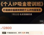个人IP吸金密训班,打造高价值高效率的个人IP内容体系(价值12800元)-6688资源库