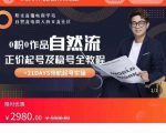 0粉0作品自然流正价起号及稳号全教程,专业自然流起号机构流程化教学(价值2980元)-6688资源库