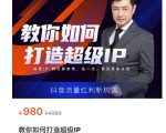 教你如何打造超级IP,抖音流量红利新机遇(价值980元)-6688资源库