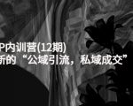 新媒体IP内训营(12期)，一套全新的“公域引流，私域成交”IP打法，直接带走-6688资源库