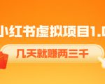 《小红书虚拟项目1.0》账号注册+养号+视频制作+引流+变现，几天就赚两三千-6688资源库