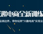兴趣电商全新训练营:打破品销边界,带你玩转“兴趣电商“实现业务增长-6688资源库