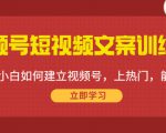 视频号短视频文案训练营：0基础小白如何建立视频号，上热门，能卖货！-6688资源库