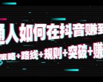 普通人如何在抖音赚到钱:策略 路线 规则 突破 赚钱(10节课)-6688资源库
