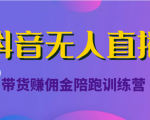 抖音无人直播带货赚佣金陪跑训练营（价值6980元）-6688资源库
