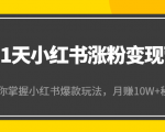 21天小红书涨粉变现营(第4期):带你掌握小红书爆款玩法,月赚10W+秘密-6688资源库