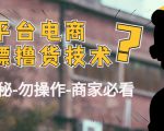 外面收费2980的全平台电商白嫖撸货技术(仅揭秘勿操作-商家防范必看)-6688资源库