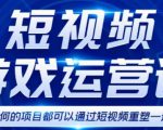 短视频游戏赚钱特训营，0门槛小白也可以操作，日入1000+-6688资源库