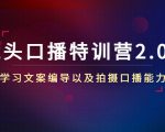 镜头口播特训营2.0版,学习文案编导以及拍摄口播能力(50节课时)-6688资源库