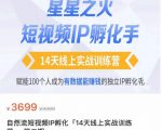 瑶瑶·自然流短视频IP孵化第二期，14天线上实战训练营，赋能100个人成为有数据能赚钱的独立IP孵化手-6688资源库