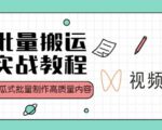 视频号批量搬运实战操作运营赚钱教程，傻瓜式批量制作高质量内容【附视频教程+PPT】-6688资源库