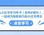 厦九九小红书学习年卡（全年IP孵化），沉浸式学习，一起成为有影响力的小红书博主-6688资源库