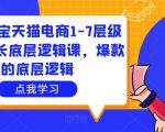 大圣淘宝天猫电商1-7层级盈利增长底层逻辑课，爆款的底层逻辑-6688资源库