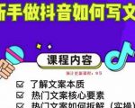 新手做抖音如何写文案,手把手实操如何拆解热门文案-6688资源库