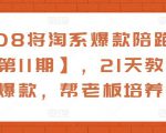 108将淘系爆款陪跑营【第11期】，21天教运营打爆款，帮老板培养运营-6688资源库