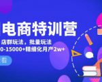 美团电商特训营：美团·店群玩法，无脑铺货月产出6000-15000+精细化月产2w+-6688资源库