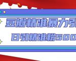 豆瓣精准暴力引流，日引精准粉500+【12课时】-6688资源库